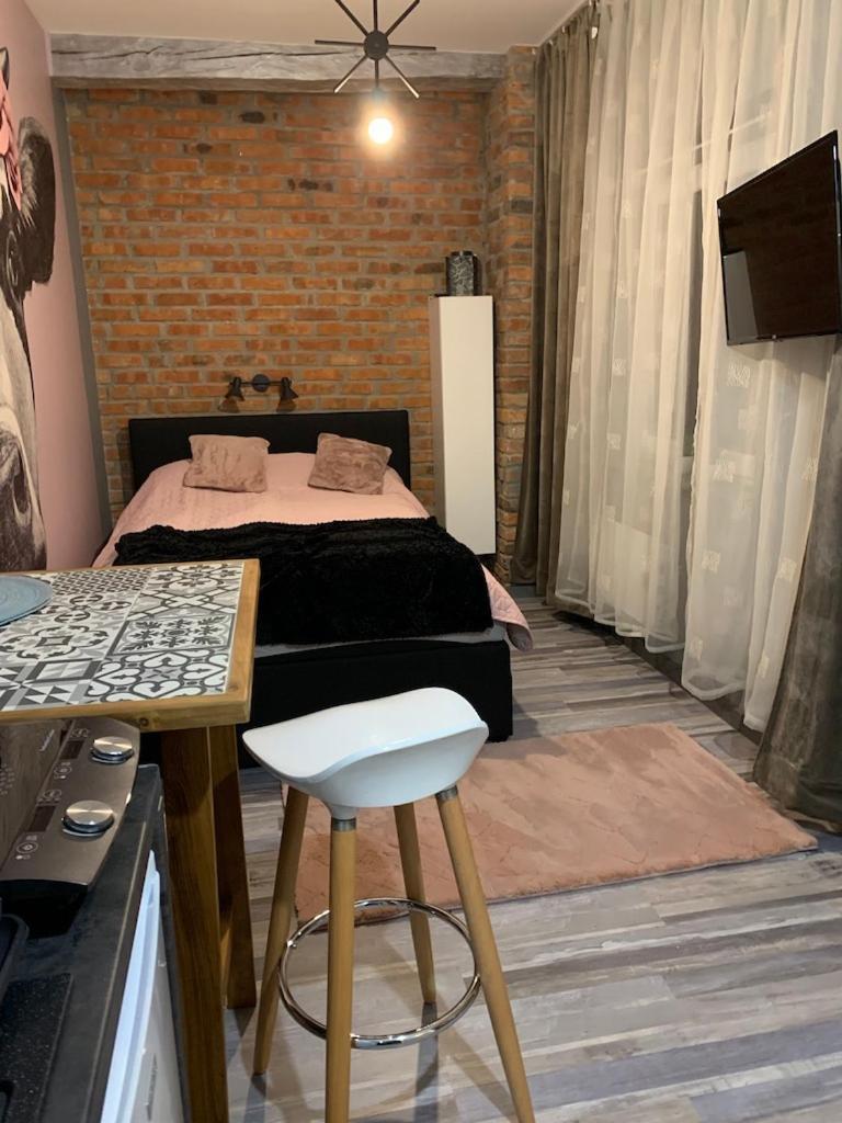 Siedlisko Kepina Zdroj Apartment Ostrow  Exterior foto