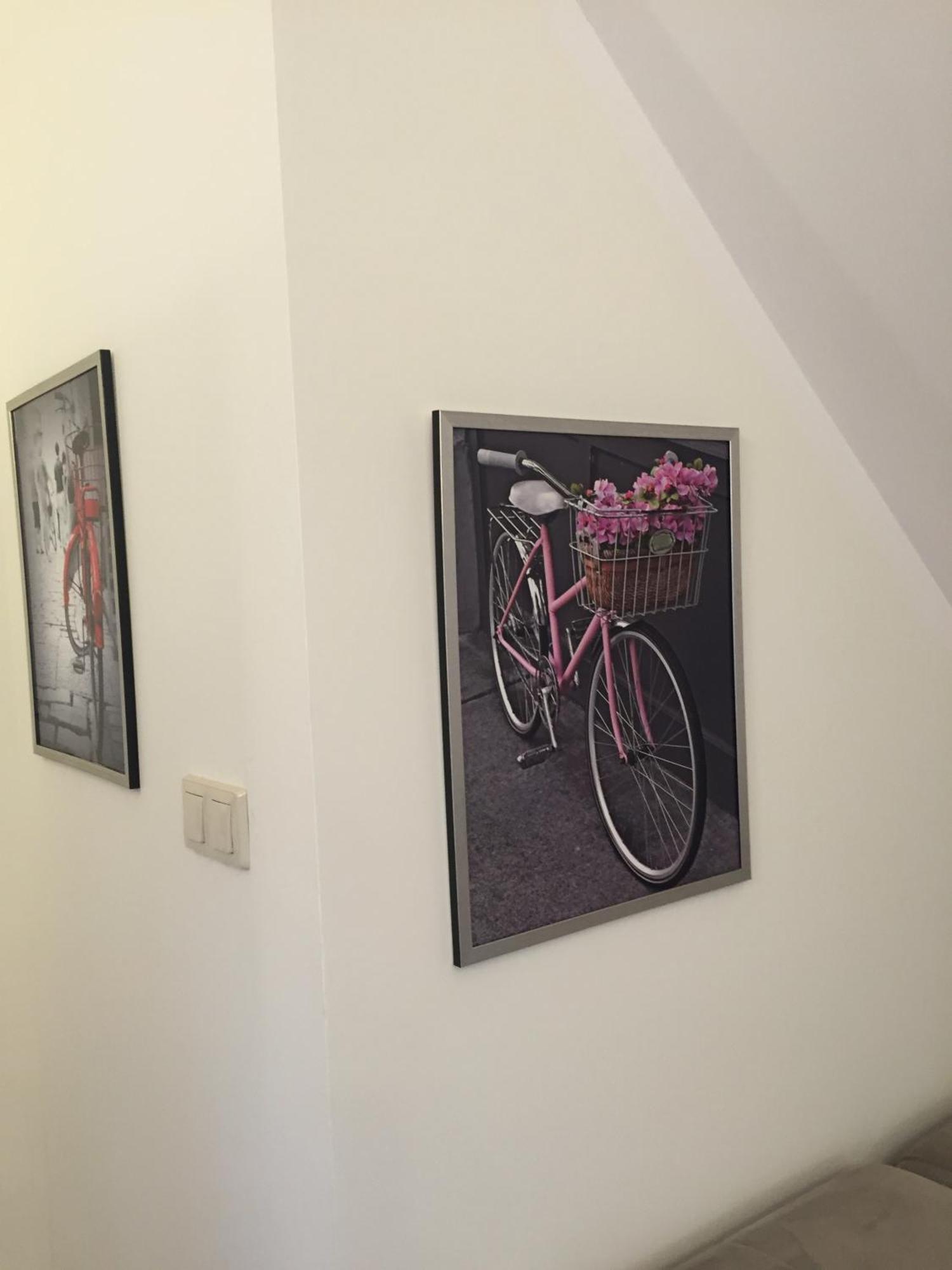 Siedlisko Kepina Zdroj Apartment Ostrow  Exterior foto