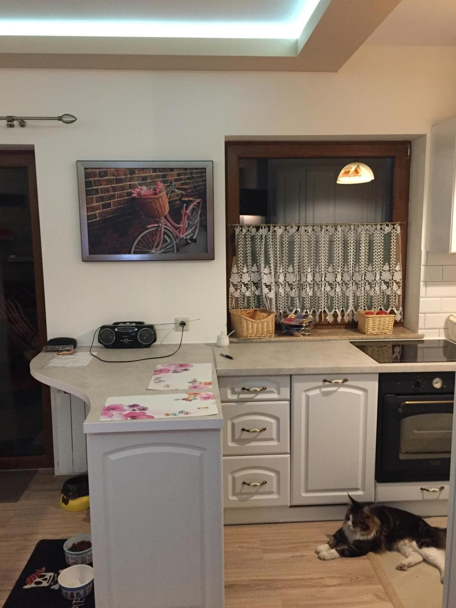 Siedlisko Kepina Zdroj Apartment Ostrow  Exterior foto